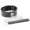 Generique Collier et Laisse Pin Lock Noir